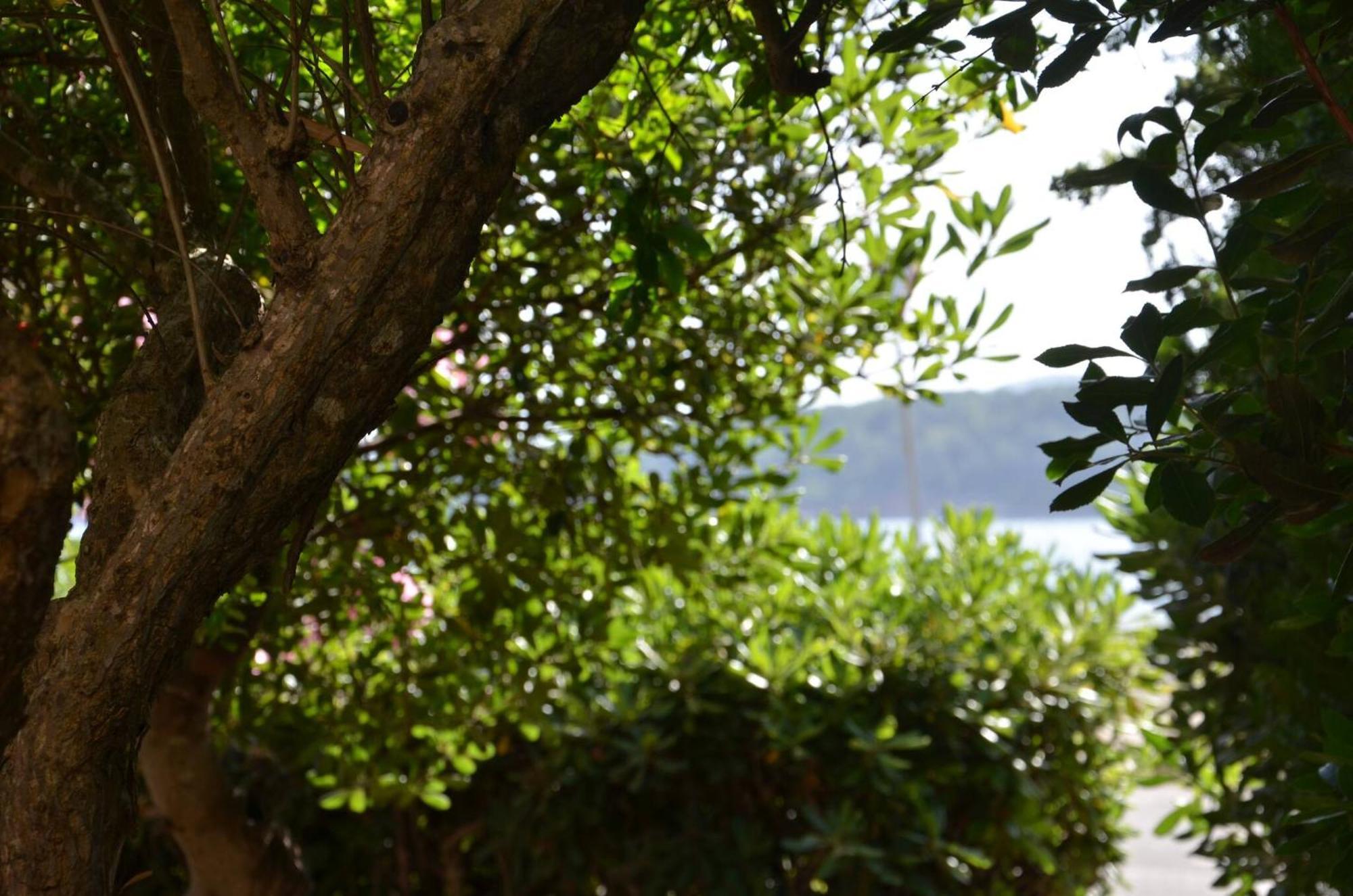 Fantastic Sardinia Villette Con Giardino Fronte Mare Fertilia Faho-Gav01-Gav02 Eksteriør bilde