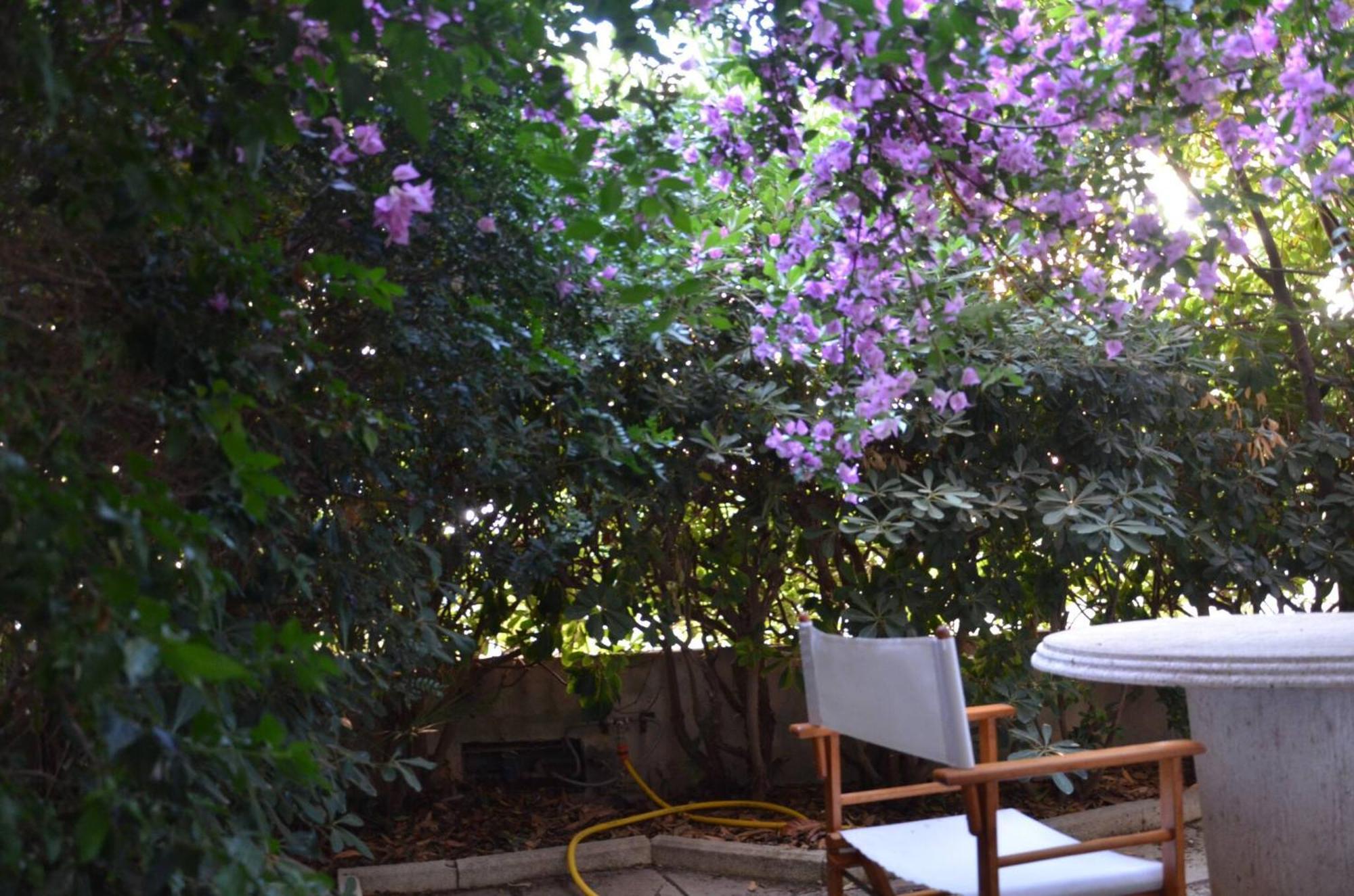 Fantastic Sardinia Villette Con Giardino Fronte Mare Fertilia Faho-Gav01-Gav02 Eksteriør bilde