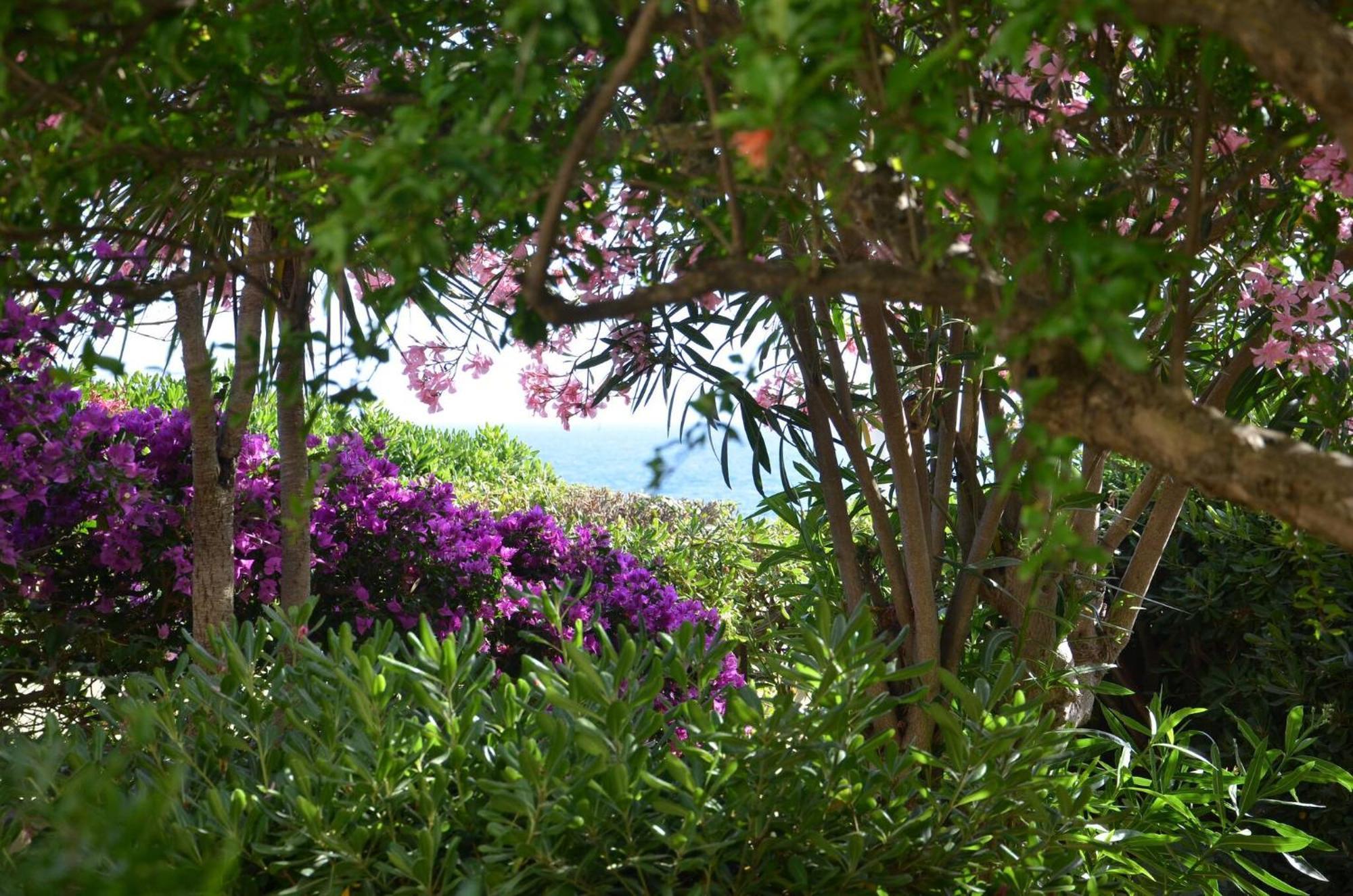 Fantastic Sardinia Villette Con Giardino Fronte Mare Fertilia Faho-Gav01-Gav02 Eksteriør bilde
