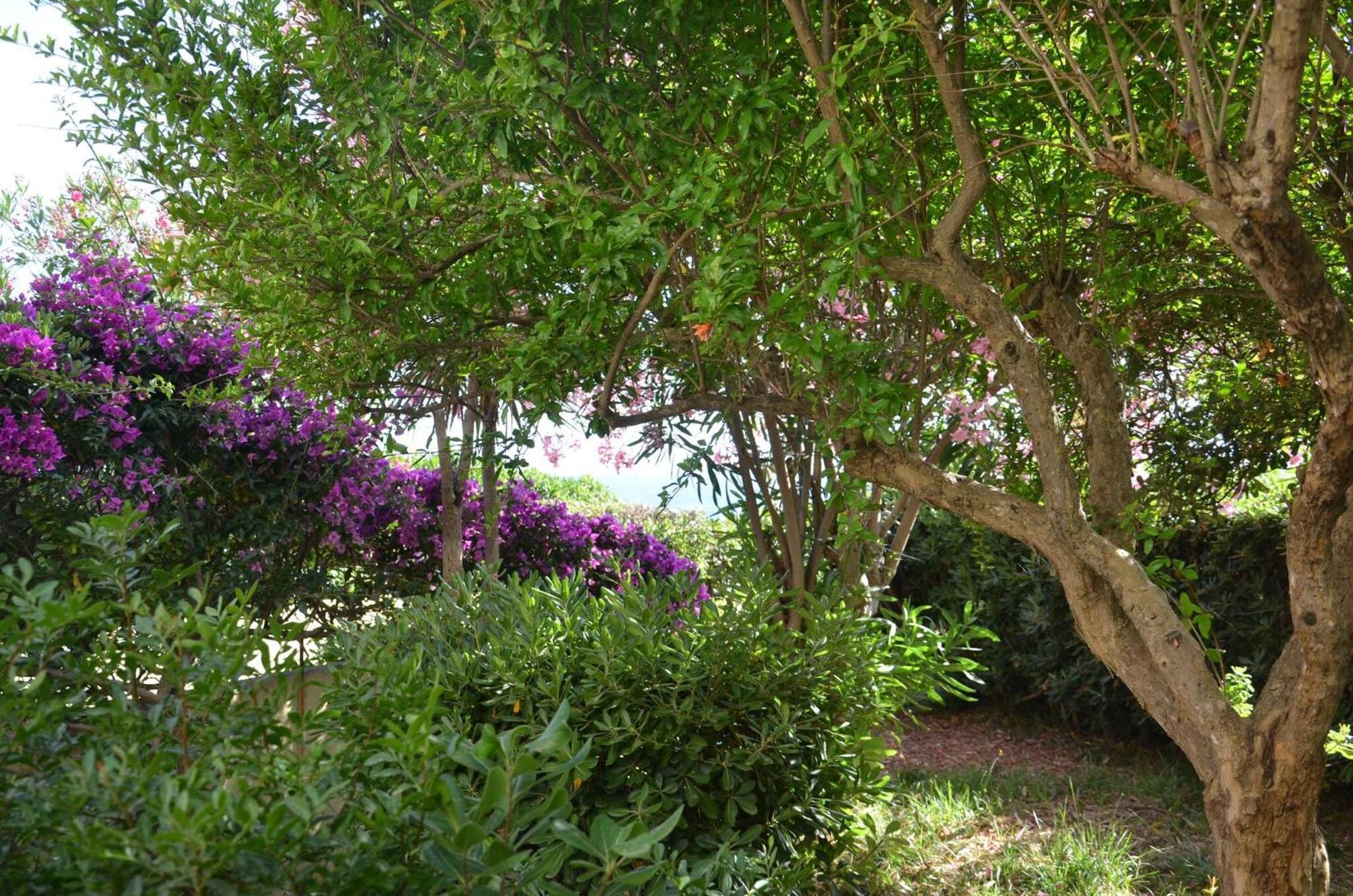 Fantastic Sardinia Villette Con Giardino Fronte Mare Fertilia Faho-Gav01-Gav02 Eksteriør bilde