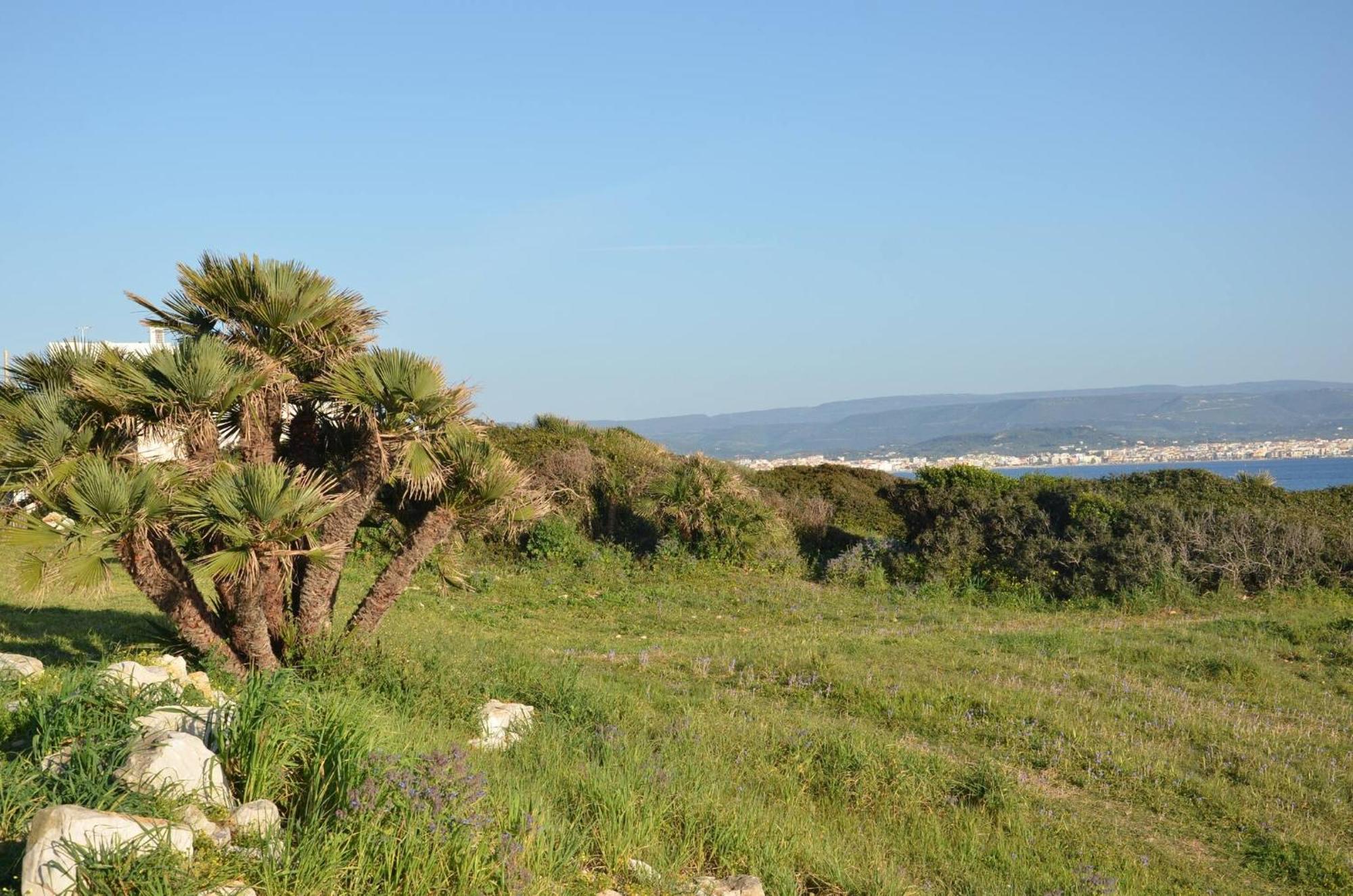 Fantastic Sardinia Villette Con Giardino Fronte Mare Fertilia Faho-Gav01-Gav02 Eksteriør bilde