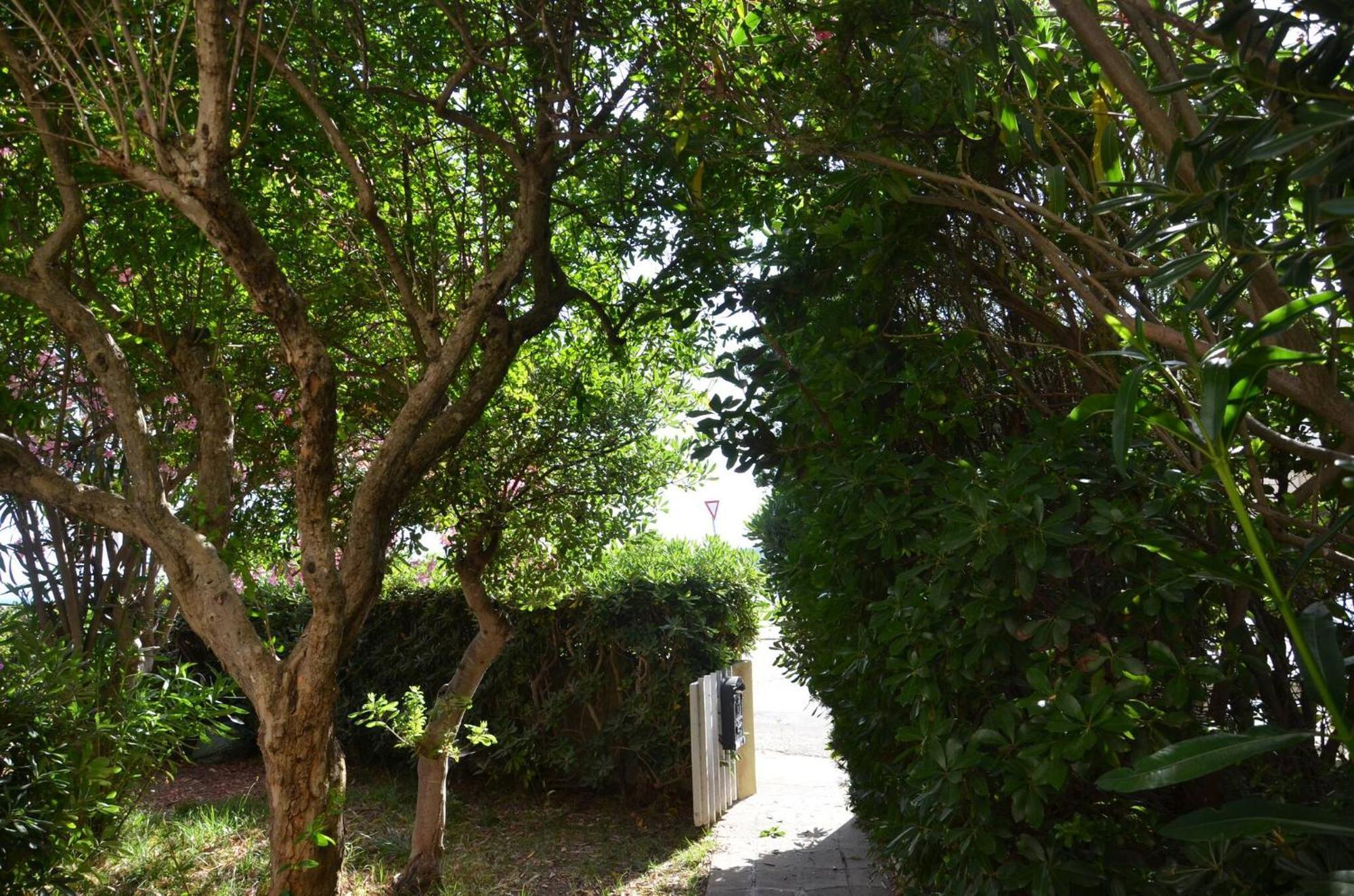 Fantastic Sardinia Villette Con Giardino Fronte Mare Fertilia Faho-Gav01-Gav02 Eksteriør bilde