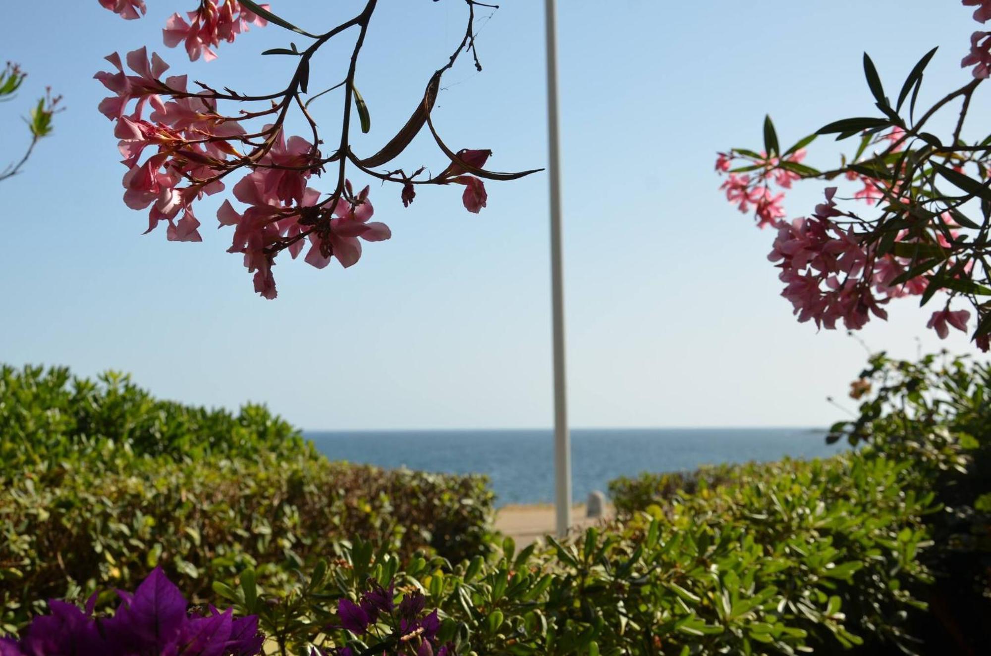Fantastic Sardinia Villette Con Giardino Fronte Mare Fertilia Faho-Gav01-Gav02 Eksteriør bilde