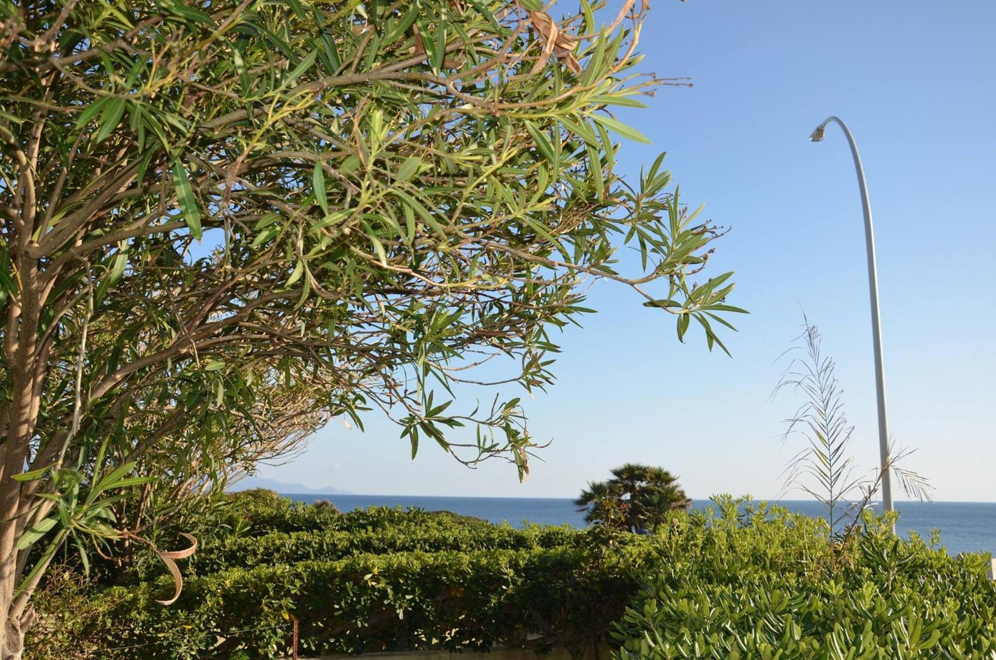 Fantastic Sardinia Villette Con Giardino Fronte Mare Fertilia Faho-Gav01-Gav02 Eksteriør bilde