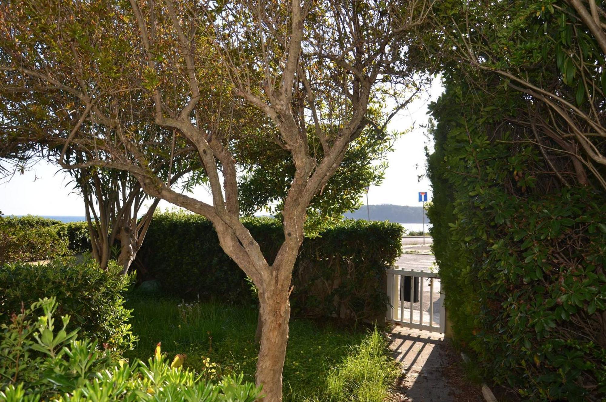 Fantastic Sardinia Villette Con Giardino Fronte Mare Fertilia Faho-Gav01-Gav02 Eksteriør bilde