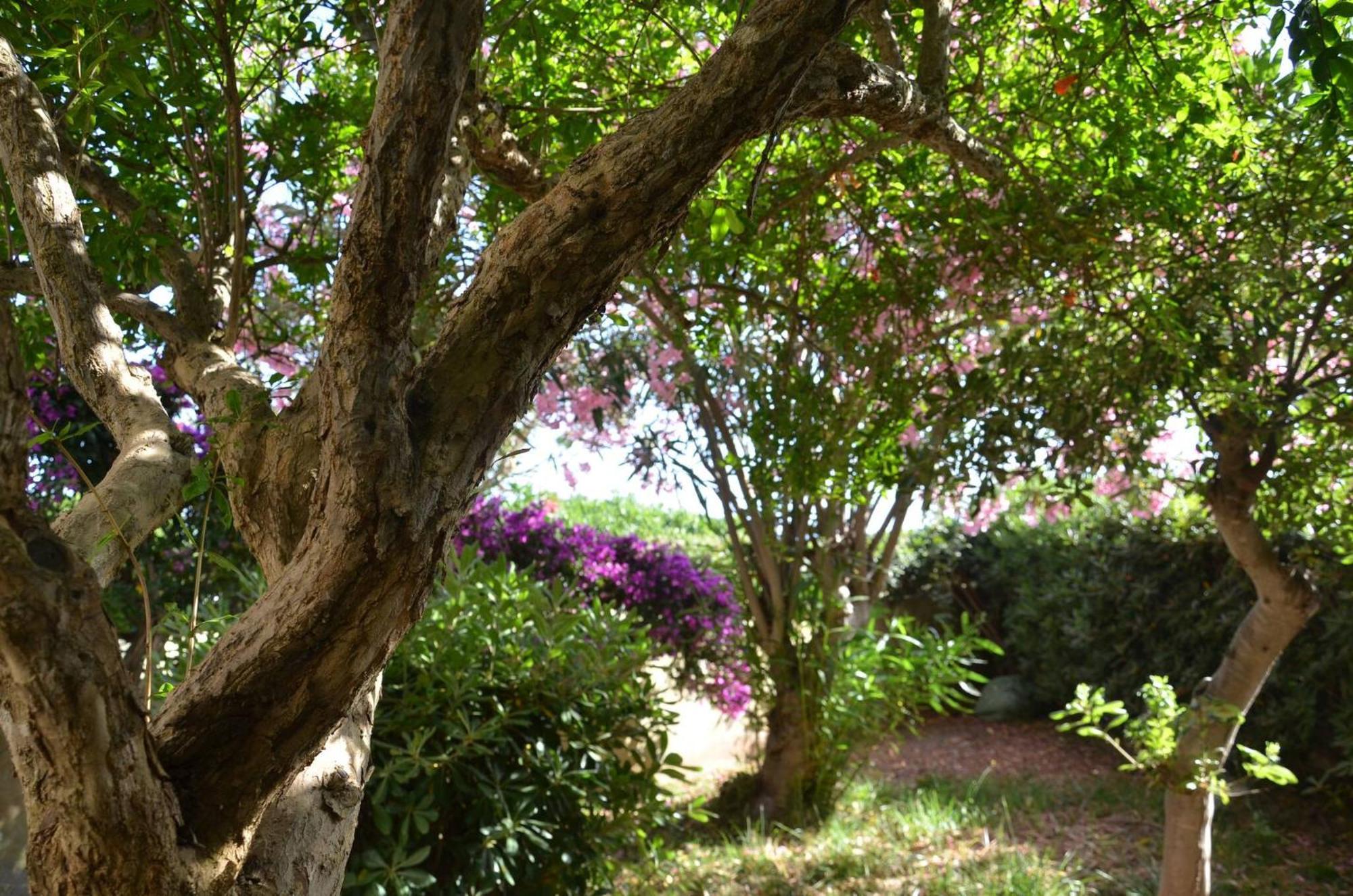 Fantastic Sardinia Villette Con Giardino Fronte Mare Fertilia Faho-Gav01-Gav02 Eksteriør bilde